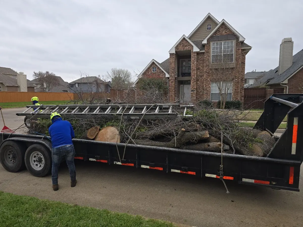 Expert Tree Removal with proper safety equipment in Fall River